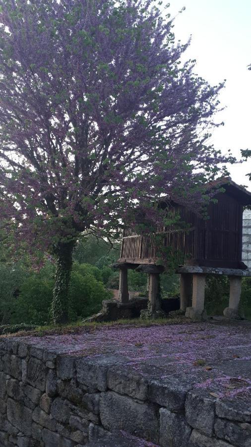 Casa Rural Torre Lombarda アジャリス エクステリア 写真